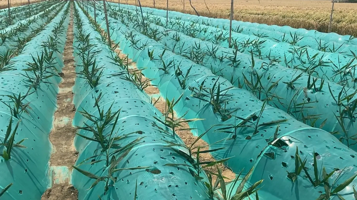 20241025155044 20241025155044